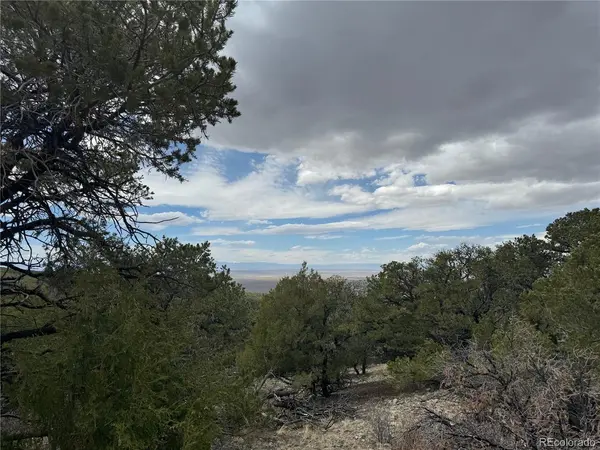 338 Cedar Ridge, Mosca, CO 81146