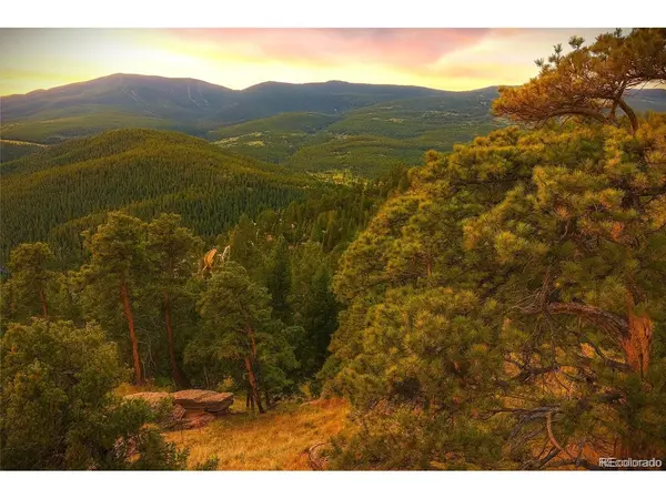 32553 Lodgepole, Evergreen, CO 80439