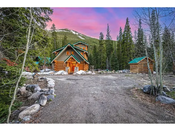 50 Pine, Empire, CO 80438
