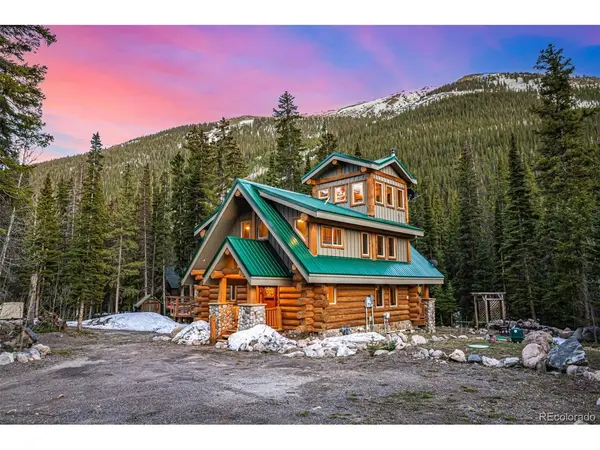 50 Pine, Empire, CO 80438