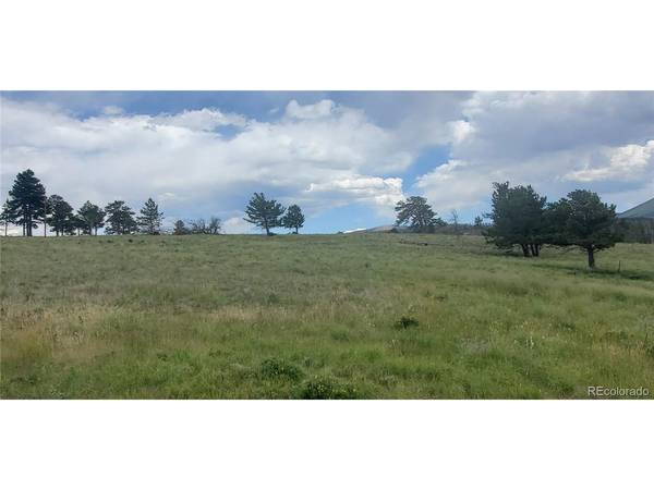Fort Garland, CO 81133