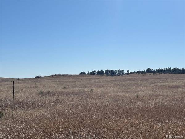 4 County Road 27, Elizabeth, CO 80107