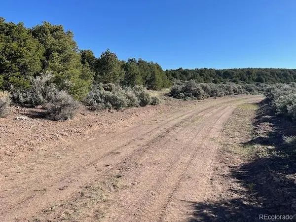 4 Elk Park, San Luis, CO 81152