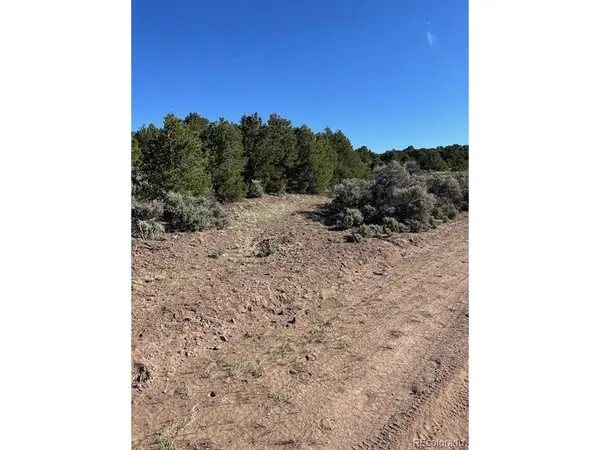 4 Elk Park, San Luis, CO 81152