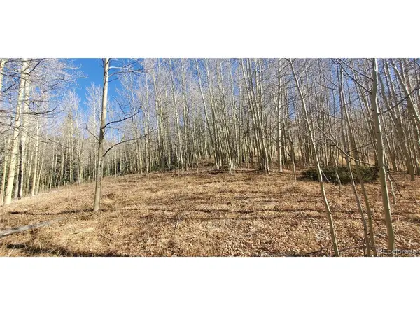 6414 Bronfman, Fort Garland, CO 81133