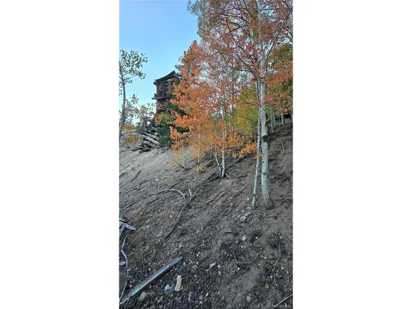 Democrat Mountain Claims, Georgetown, CO 80444