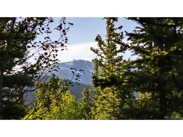 Democrat Mountain Claims, Georgetown, CO 80444