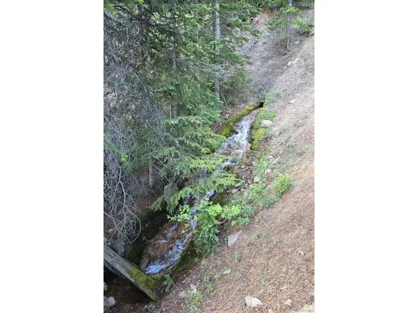 Democrat Mountain Claims, Georgetown, CO 80444