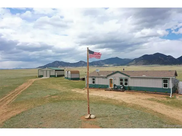 463 Snowshoe, Lake George, CO 80827