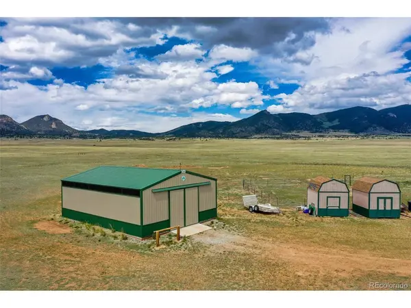 463 Snowshoe, Lake George, CO 80827