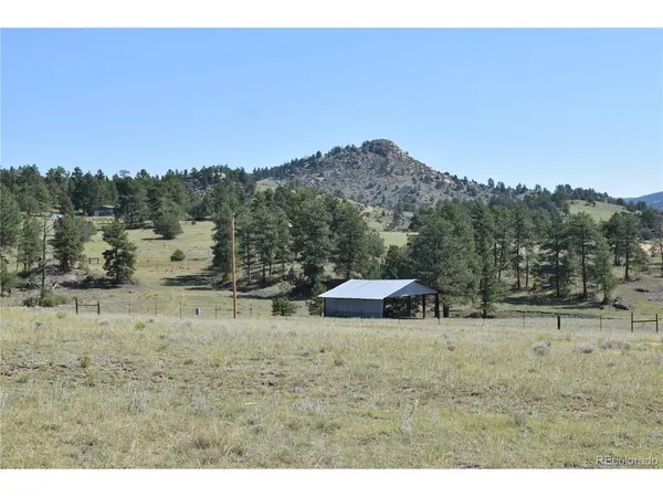 431 High Chateau, Florissant, CO 80816