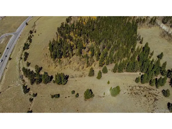 381 Platte River, Fairplay, CO 80440
