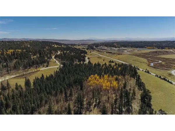 381 Platte River, Fairplay, CO 80440