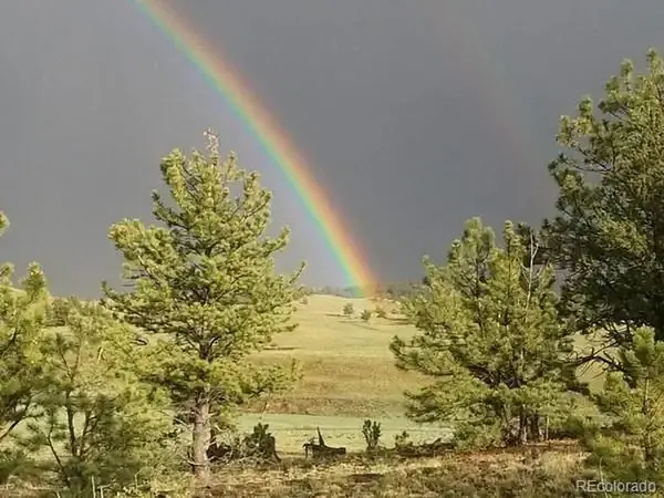 Address not disclosed, Hartsel, CO 80449