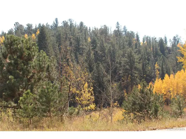2020 Shelton, Bailey, CO 80421