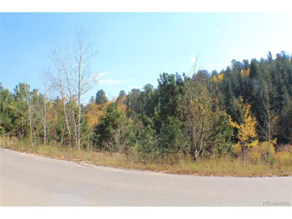 2020 Shelton, Bailey, CO 80421