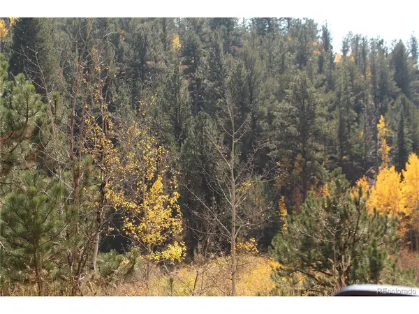 2020 Shelton, Bailey, CO 80421