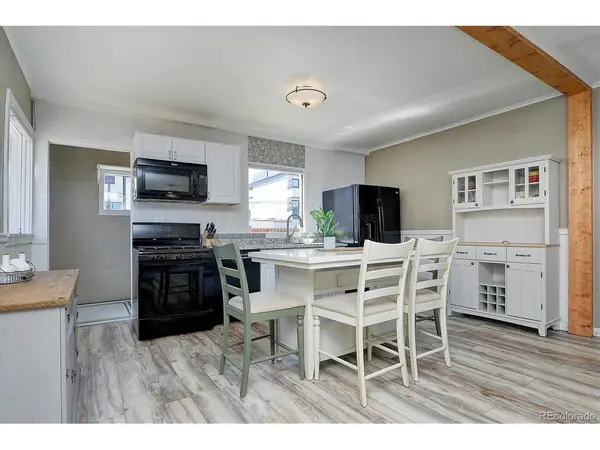 116 N Court, Buena Vista, CO 81211