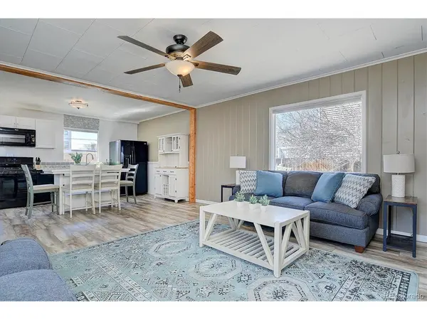 116 N Court, Buena Vista, CO 81211