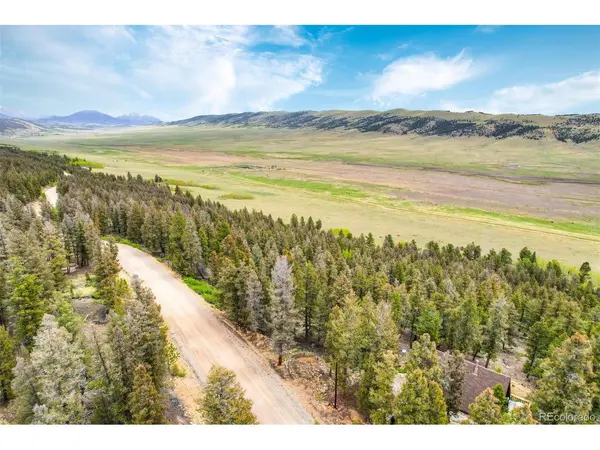 0 Trout Creek, Fairplay, CO 80440