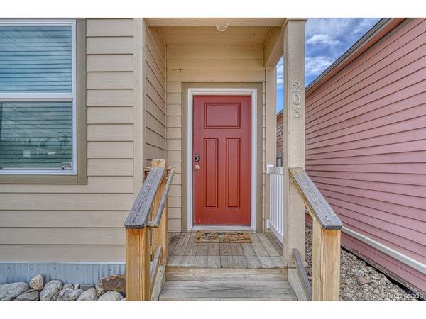203 W Chestnut, Leadville, CO 80461