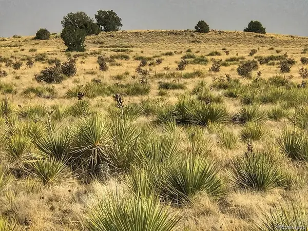 Lot 243 Turkey Ridge Ranch, Walsenburg, CO 81089