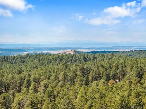 1133 Tomichi, Franktown, CO 80116