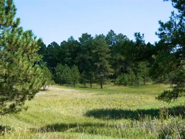 1133 Tomichi, Franktown, CO 80116