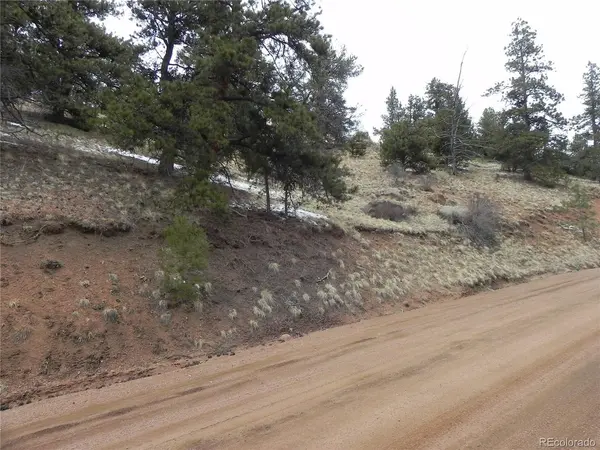 153 Idlewild, Cripple Creek, CO 80813
