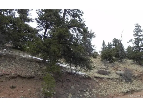 153 Idlewild, Cripple Creek, CO 80813