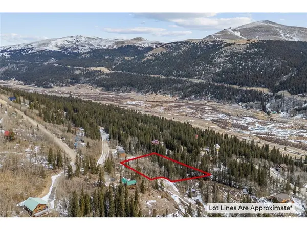 131 Aspen, Alma, CO 80420