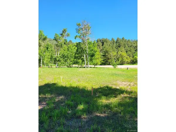 141 Virginia, Palmer Lake, CO 80133