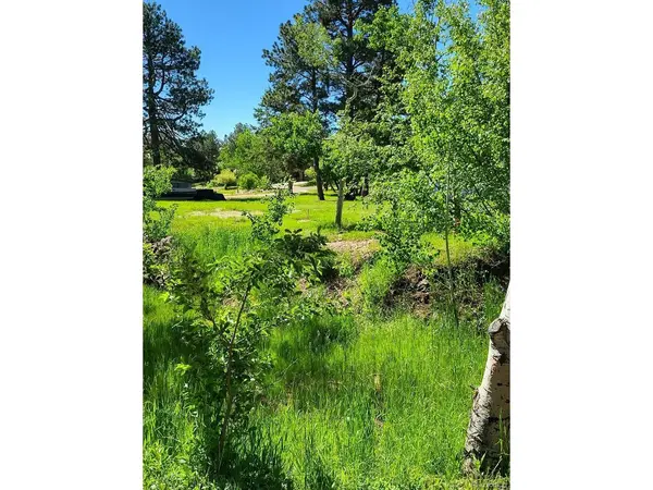 141 Virginia, Palmer Lake, CO 80133