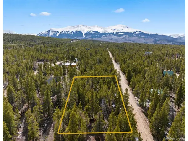 104 Juniper, Twin Lakes, CO 81251