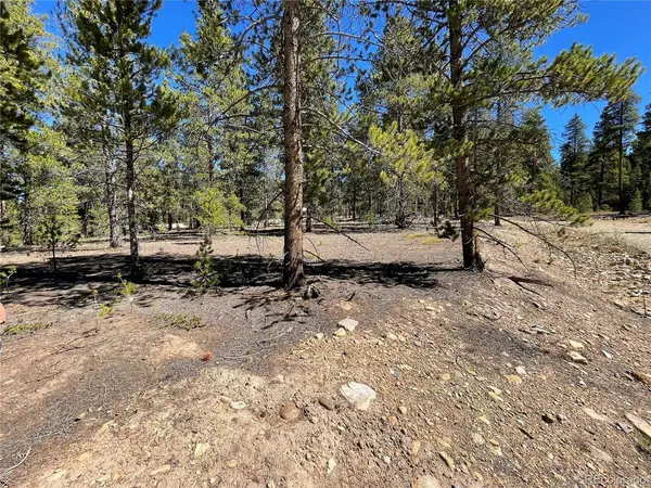 100 Virginia, Leadville, CO 80461