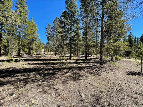 100 Virginia, Leadville, CO 80461