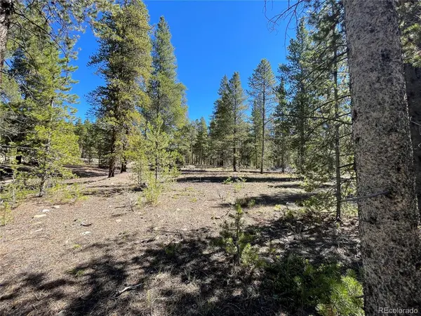 100 Virginia, Leadville, CO 80461