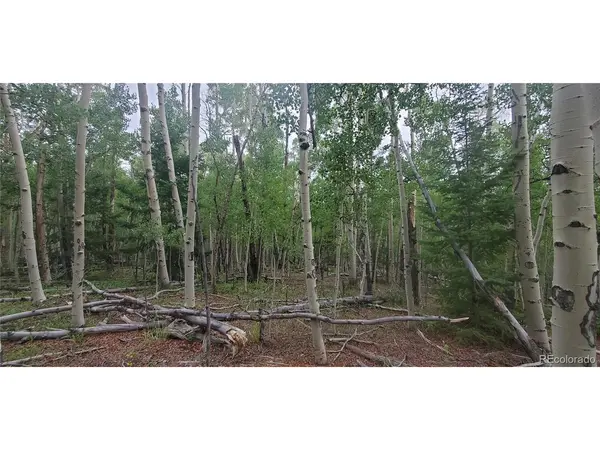 Address not disclosed, Fort Garland, CO 81133