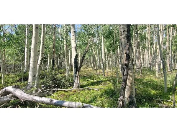 Address not disclosed, Fort Garland, CO 81133