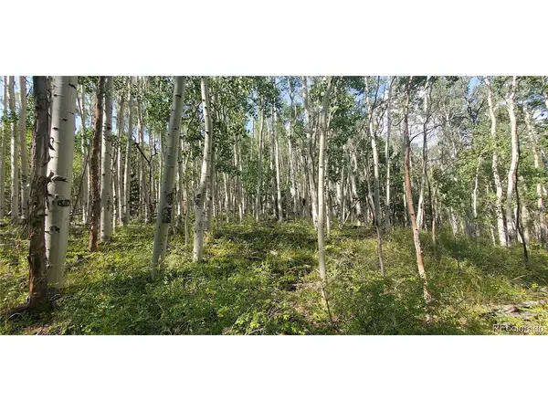 Address not disclosed, Fort Garland, CO 81133