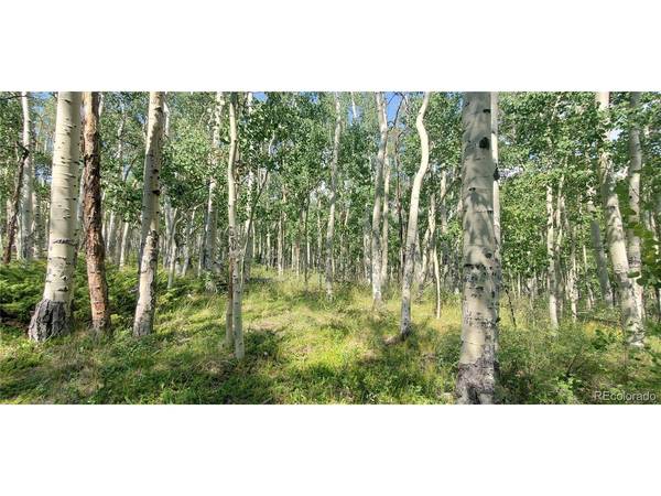 Fort Garland, CO 81133