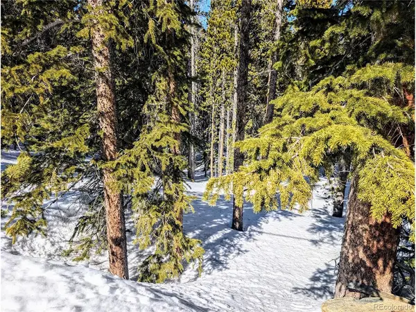 234 Alice, Idaho Springs, CO 80453