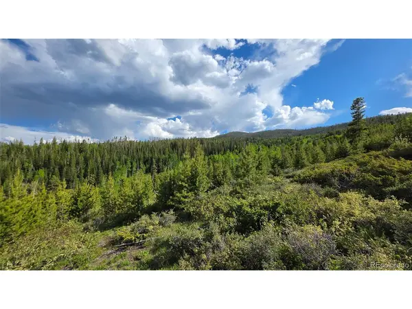 520 County Road 52, Granby, CO 80446