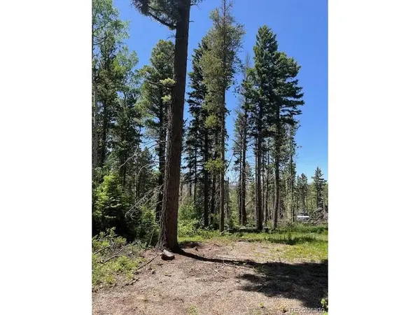 2449 Petito, Fort Garland, CO 81133