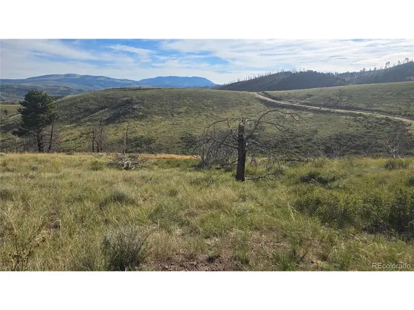 7719 Hallstein, Fort Garland, CO 81133