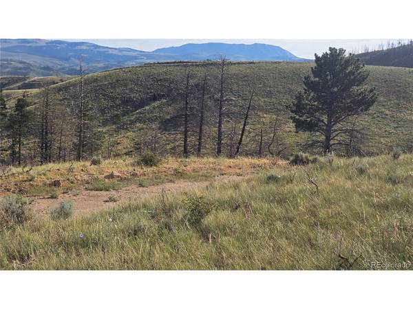 7719 Hallstein, Fort Garland, CO 81133