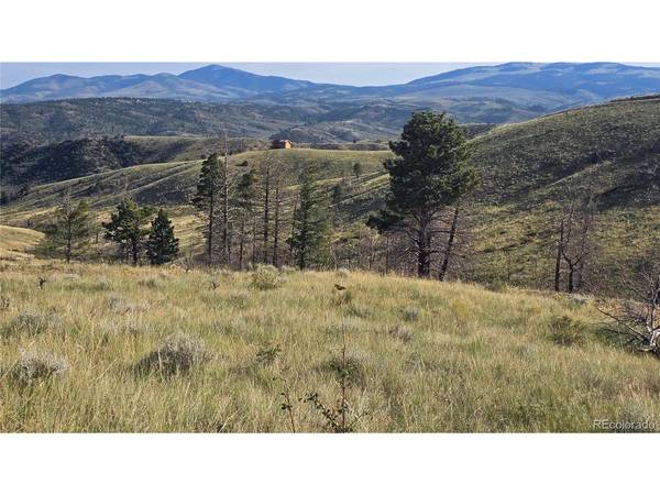 7719 Hallstein, Fort Garland, CO 81133