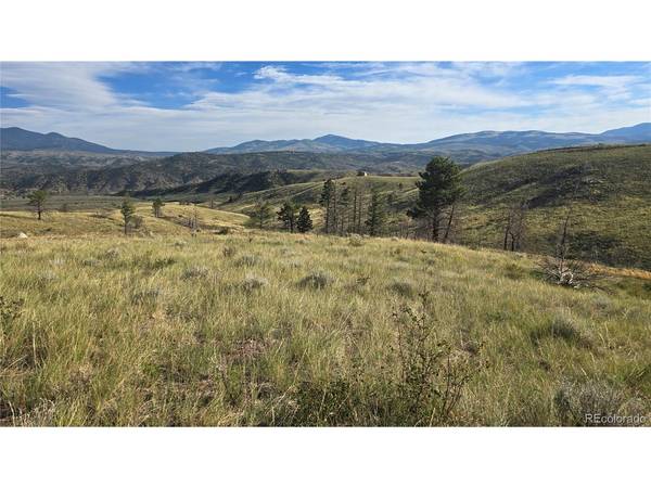 7719 Hallstein, Fort Garland, CO 81133
