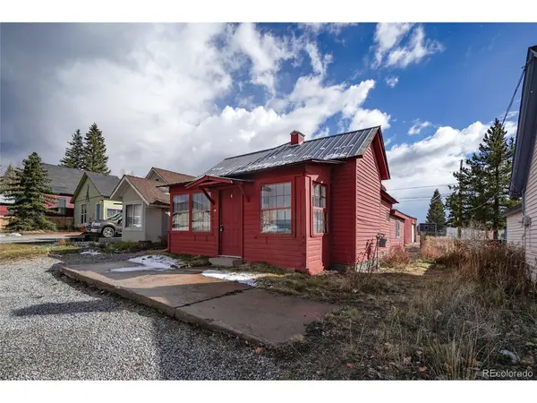 205 E 11th, Leadville, CO 80461