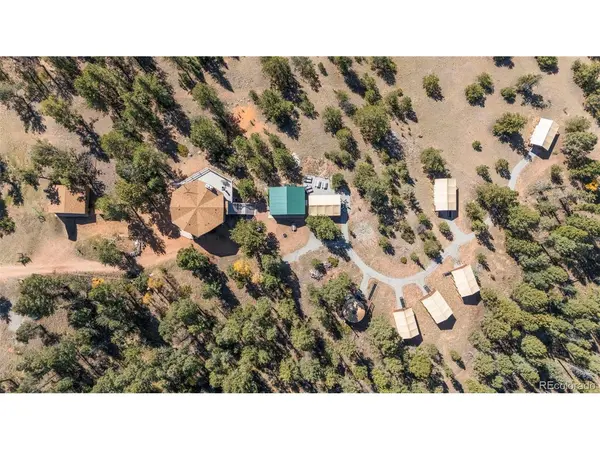 247 Pinewood, Florissant, CO 80816